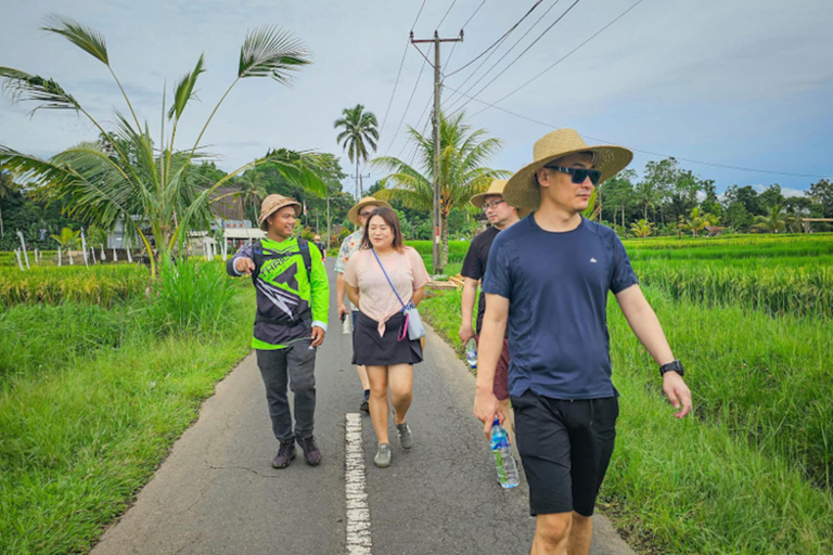 Ubud: Silver Making Class and Fireflies Evening Tour