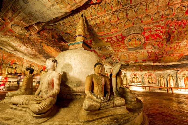 Desde Colombo: tour todo incluido a Sigiriya y Dambulla