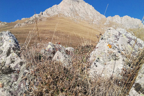 Armenia: tour della montagna KhustupOpzione standard