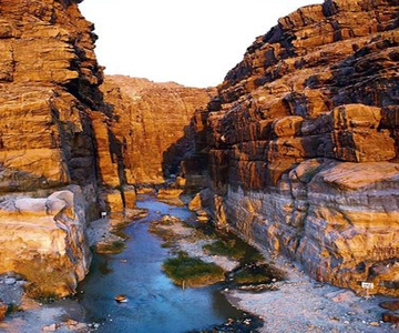Desde Ammán: Wadi Mujib Siq Trail Tour privado de senderismo