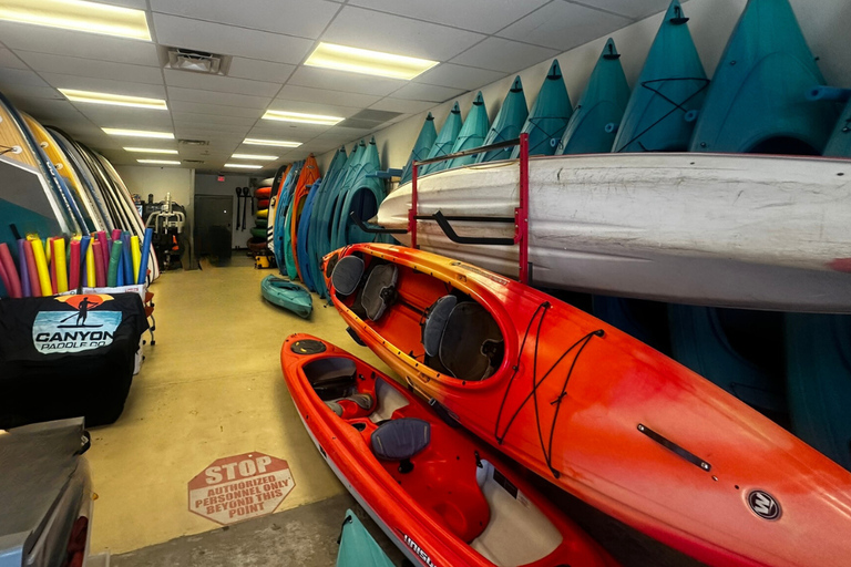 Mesa: Kayak/Paddleboard Experience on the Scenic Salt River Mesa: Paddle Board Rental