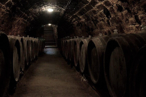 Bucharest: Salt Mine Tour with Wine Tasting