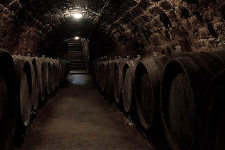 Bucharest: Salt Mine Tour with Wine Tasting