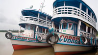 From Manaus, 3 or 4-Day Rio Negro & Anavilhanas River Cruise - Housity