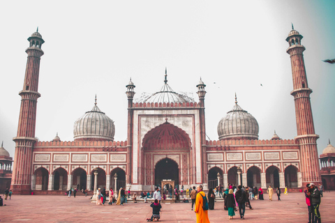 Construye el tuyo: tour privado personalizado de Delhi con trasladoOpción 1: Excursión personalizada de 8 horas