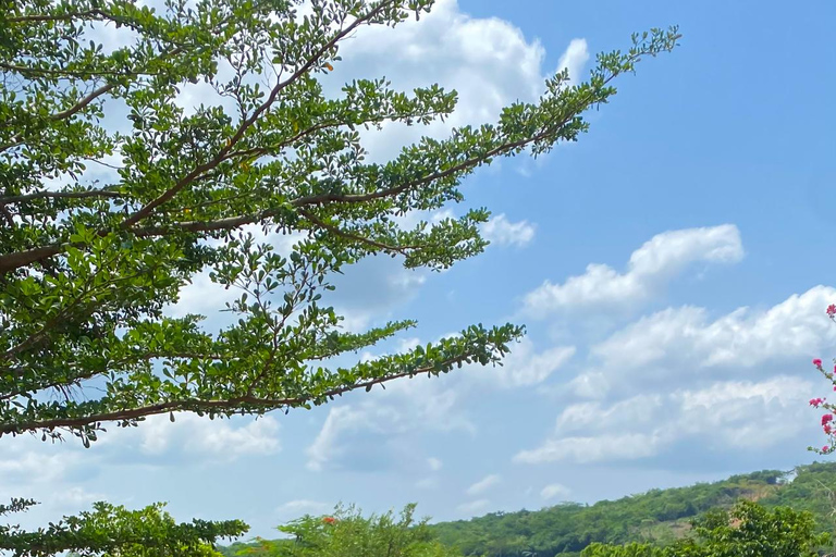 From Accra: ATV, Aburi Gardens, & Waterfalls Trip with Lunch