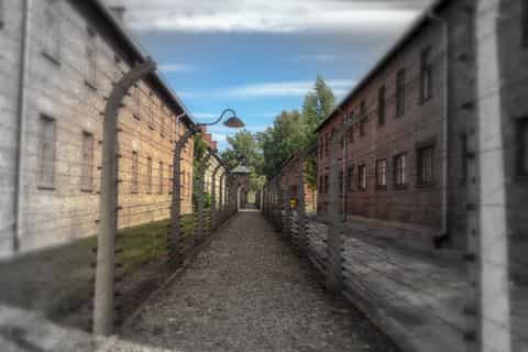 From Kraków: Auschwitz and Birkenau Private Tour