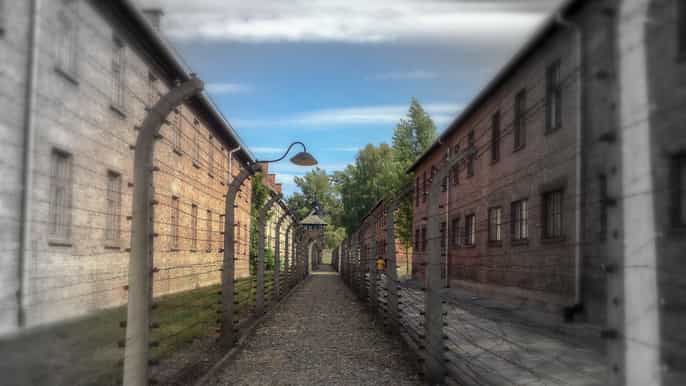 from kraków auschwitz and birkenau private tour