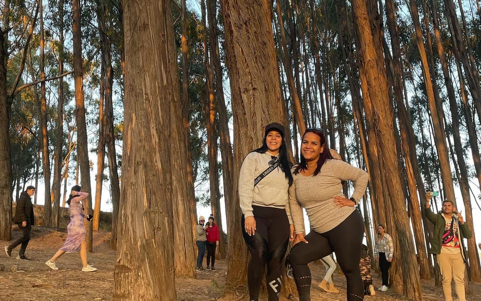 Paardrijtocht In Cusco Sacsayhuam N Qenqo Eucalyptusbos Getyourguide