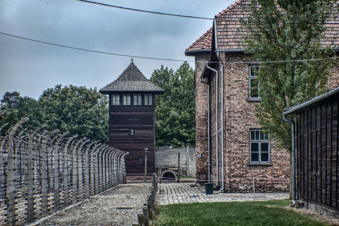 Cracovia: Excursión Combo Auschwitz y Mina de Sal de WieliczkaCracovia: Excursión combinada a Auschwitz y a las minas de sal de Wieliczka