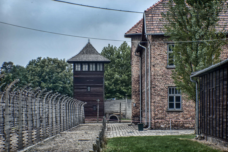 Från Kraków: Auschwitz &amp; Wieliczka saltgruva på kombirundtur