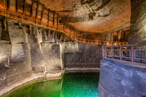 Från Kraków: Auschwitz &amp; Wieliczka saltgruva på kombirundtur