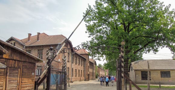 Krakow: Auschwitz and Wieliczka Salt Mine Combo Tour