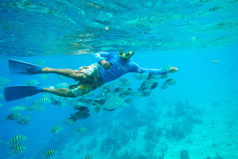 From Cancún: 1-day Snorkel Tour in Cozumel