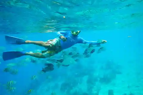 Desde Cancún: Excursión de snorkel a Cozumel