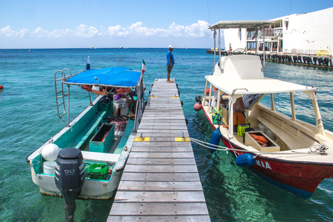 Z Cancún: 1-dniowa wycieczka z rurką w Cozumel