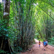 From Krabi: 1-Day Khao Sok & 2-Day Cheow Lan Lake Safari