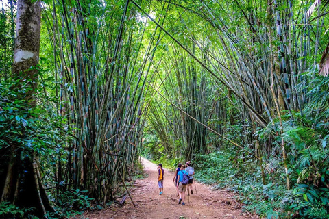 Vanuit Krabi: 1-Daagse Khao Sok Safari &amp; 2-Daagse Cheow Lan Meer