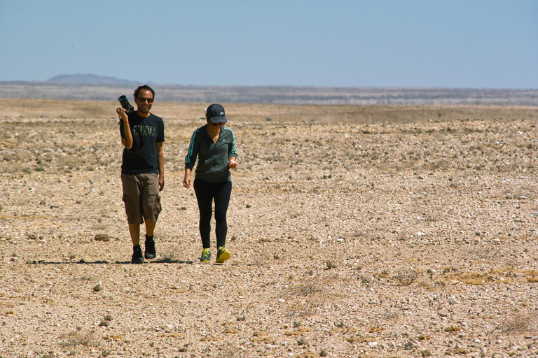 Spitzkoppe : via Zeila Shipwreck