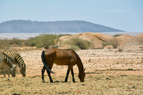 Spitzkoppe : via Zeila Shipwreck