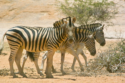 Spitzkoppe : via Zeila Shipwreck