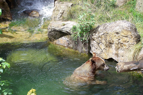 Innsbruck: biglietto combinato per Alpenzoo e HungerburgInnsbruck: biglietto per Alpenzoo e Hungerburg