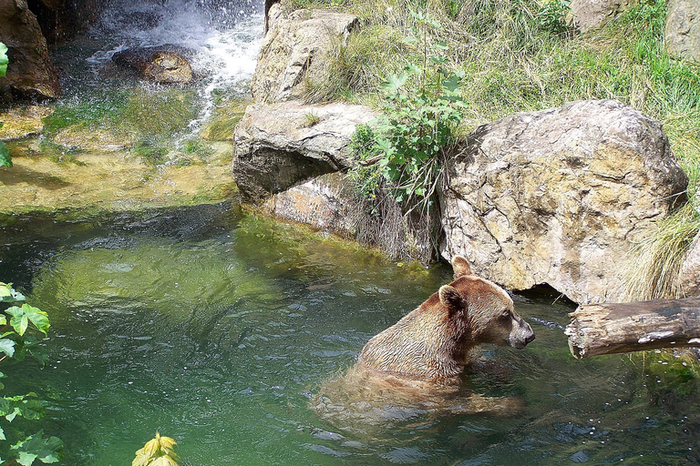 Bilet combi do Alpejskiego Zoo i Hungerburg