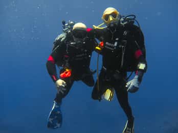 Catania: Gulf Scuba Diving Tour with Marine Biologist