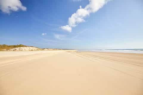 from hervey bay fraser island fullday coach tour