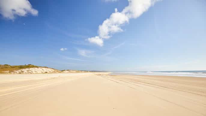 from hervey bay fraser island fullday coach tour
