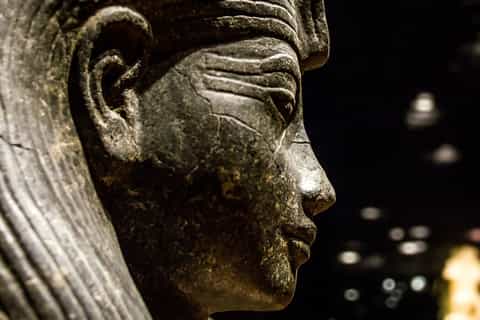 Egyptian Museum of Turin: Skip-the-Line Group Tour