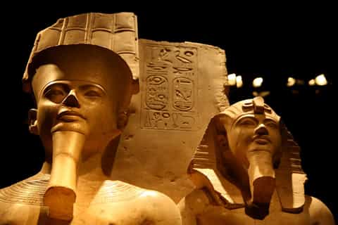 Egyptian Museum of Turin: Skip-the-Line Group Tour