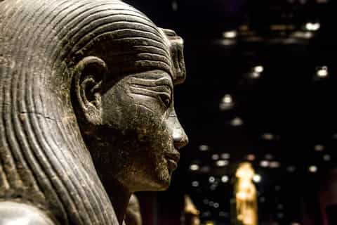 Egyptian Museum of Turin: Skip-the-Line Group Tour