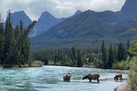 Tour privato - Il meglio di Canmore / Kananaskis