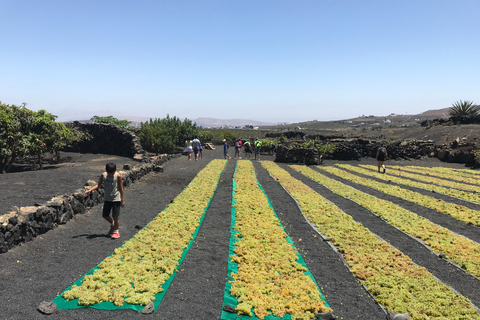 Wine and volcan private tour