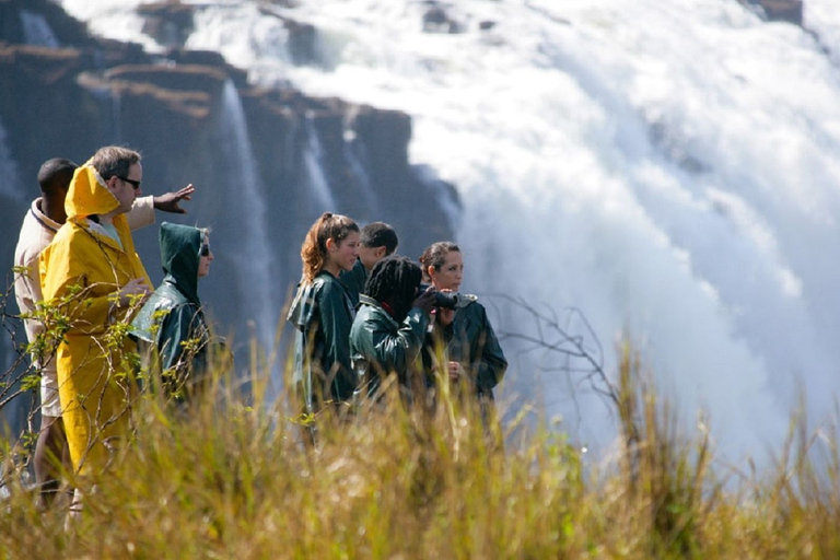 Victoria Falls: Guided Tour and HikeStandard Option