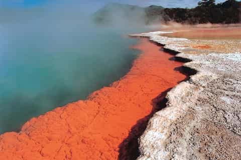 New Zealand: Auckland to Wellington 3-Day Tour via Rotorua