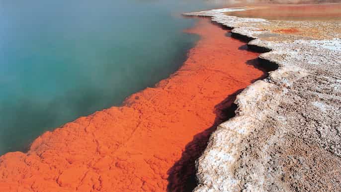 new zealand auckland to wellington 3day tour via rotorua