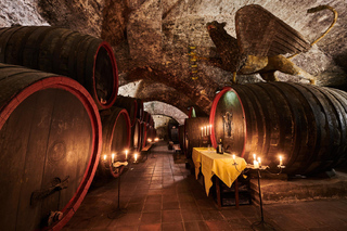 From Prague to the Vineyards: Wine & Gastronomy Tour