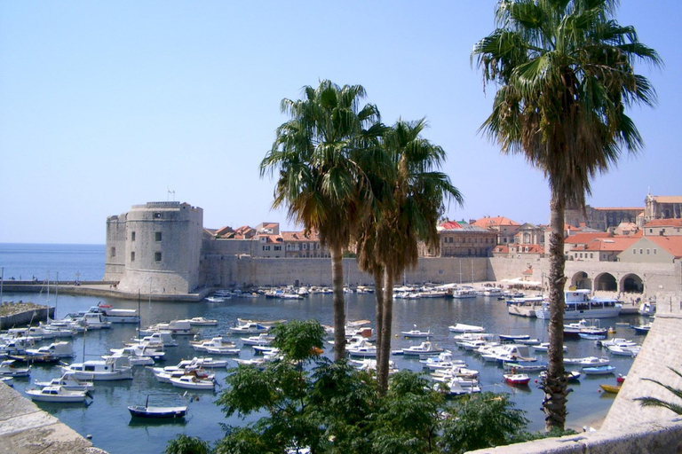 Dubrovnik: Child Friendly City Tour