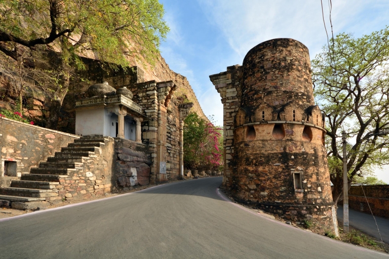 Chittorgarh: excursion privée d'une journée depuis Udaipur