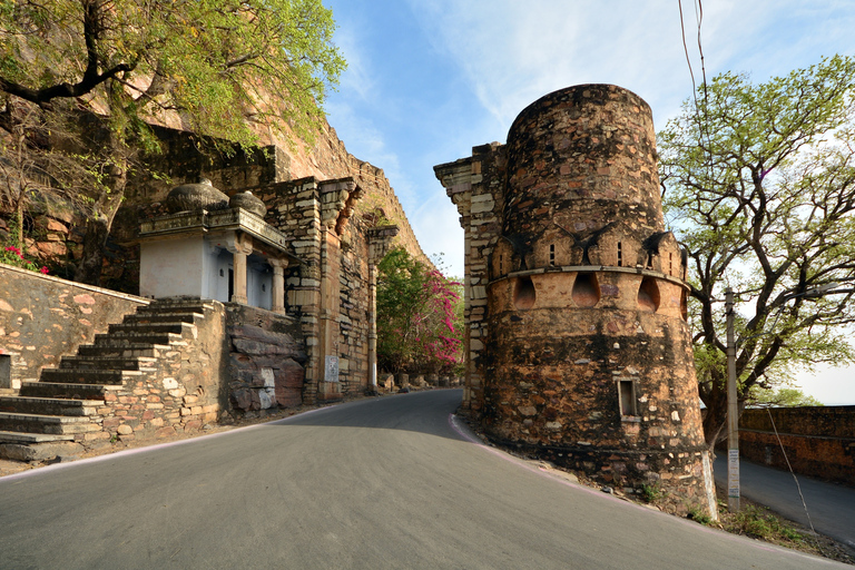 Chittorgarh: viagem particular de um dia saindo de Udaipur