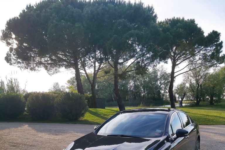 Flughafentransfer von Marseille nach St Rémy de ProvenceMarseille: Flughafentransfer nach Saint Rémy de Provence