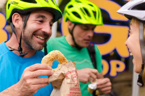 Montreal: Guided Bike Tour of City, Old Port & Plateau 3-Hour Guided Bike Tour