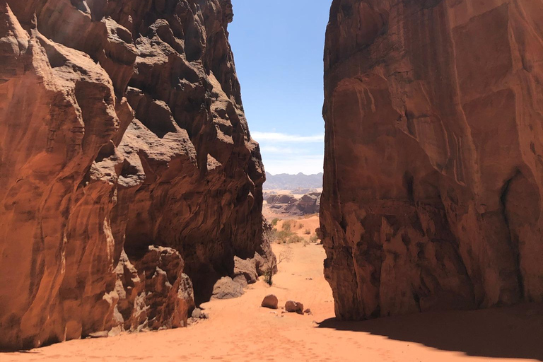 Deserto del Wadi Rum: Tour di un giorno in Jeep e pranzo tradizionale