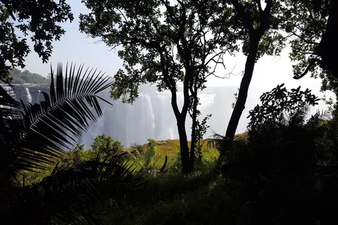 Victoria Falls: Guided Walking Tour