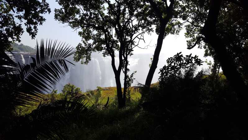 Victoria Falls: Guided Walking Tour
