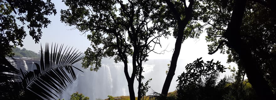 Chutes Victoria : Visite guidée à pied