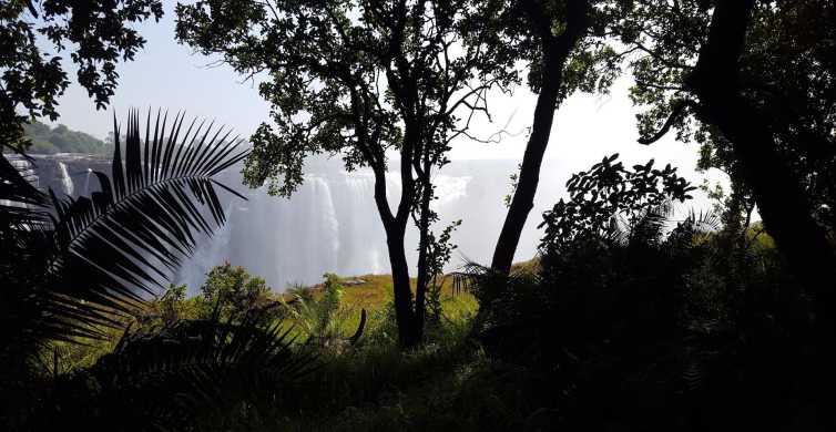 Victoria Falls Guided Walking Tour GetYourGuide