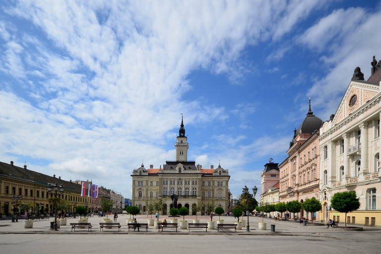 Desde Belgrado: Sremski Karlovci y Novi Sad con degustación de vinosTour compartido